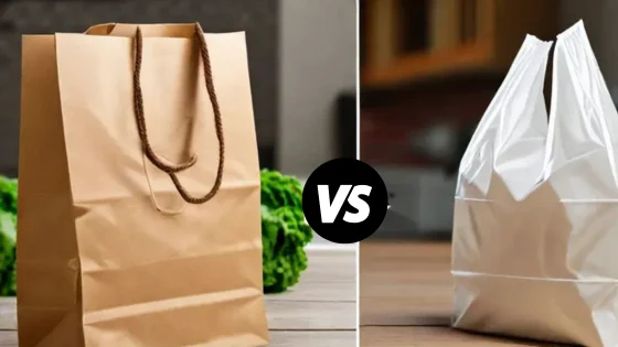 Brown Paper Bags vs Plastic Bags