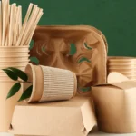 Disposable vs. Reusable Food Packaging